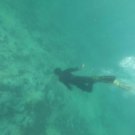 Refugio Del Archipielago Punta de Choros Εξωτερικό φωτογραφία
