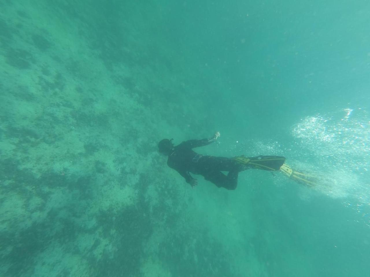 Refugio Del Archipielago Punta de Choros Εξωτερικό φωτογραφία