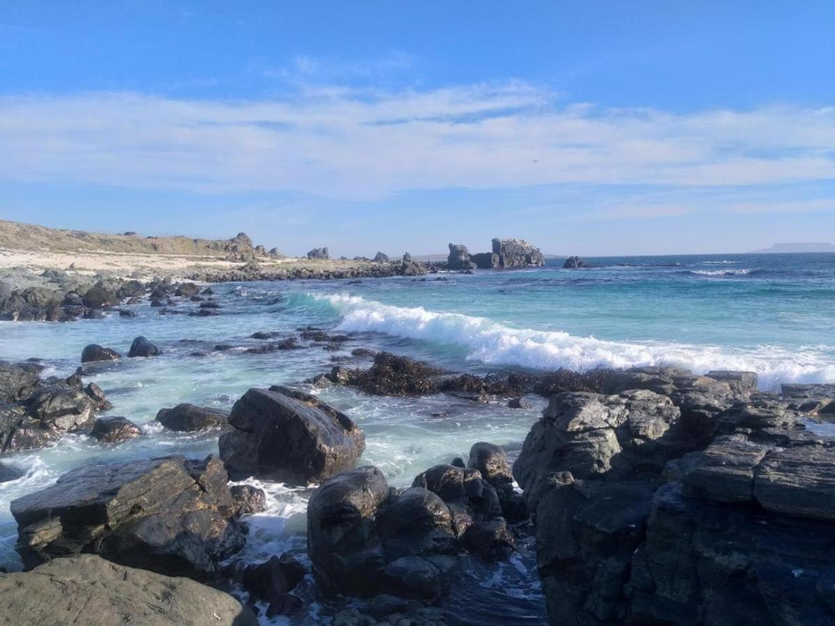 Refugio Del Archipielago Punta de Choros Εξωτερικό φωτογραφία